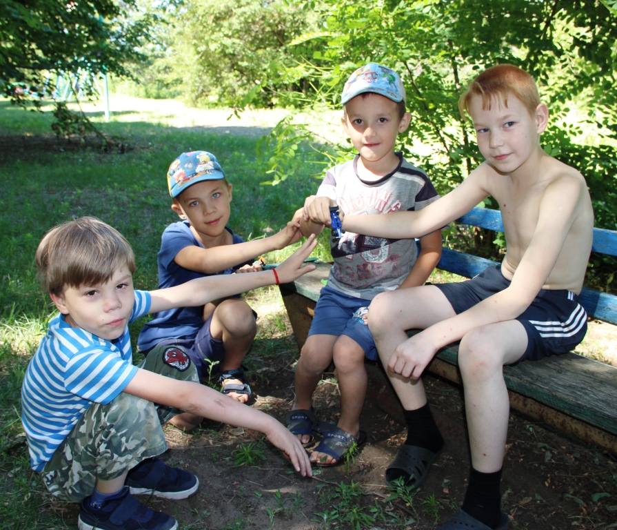 IMG 0003