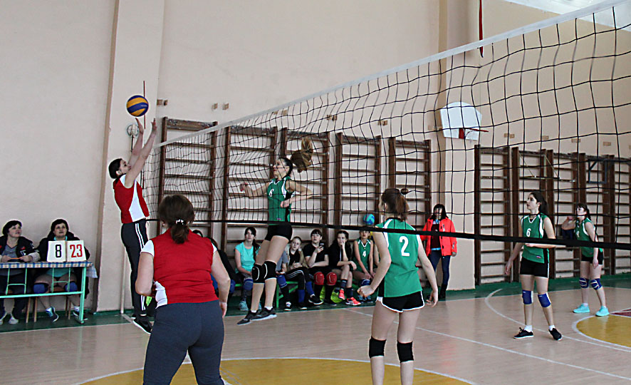 IMG 2671