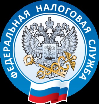 federal nalog slujba